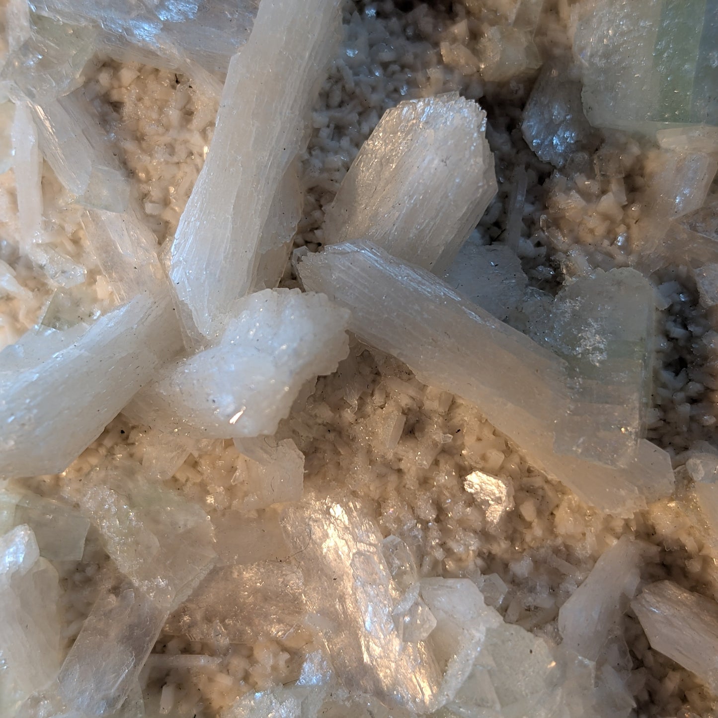 Apophyllite Cluster (Option #4)