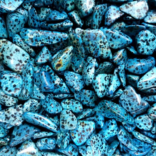 Blue Dalmatian Tumbled Stone (Dyed)