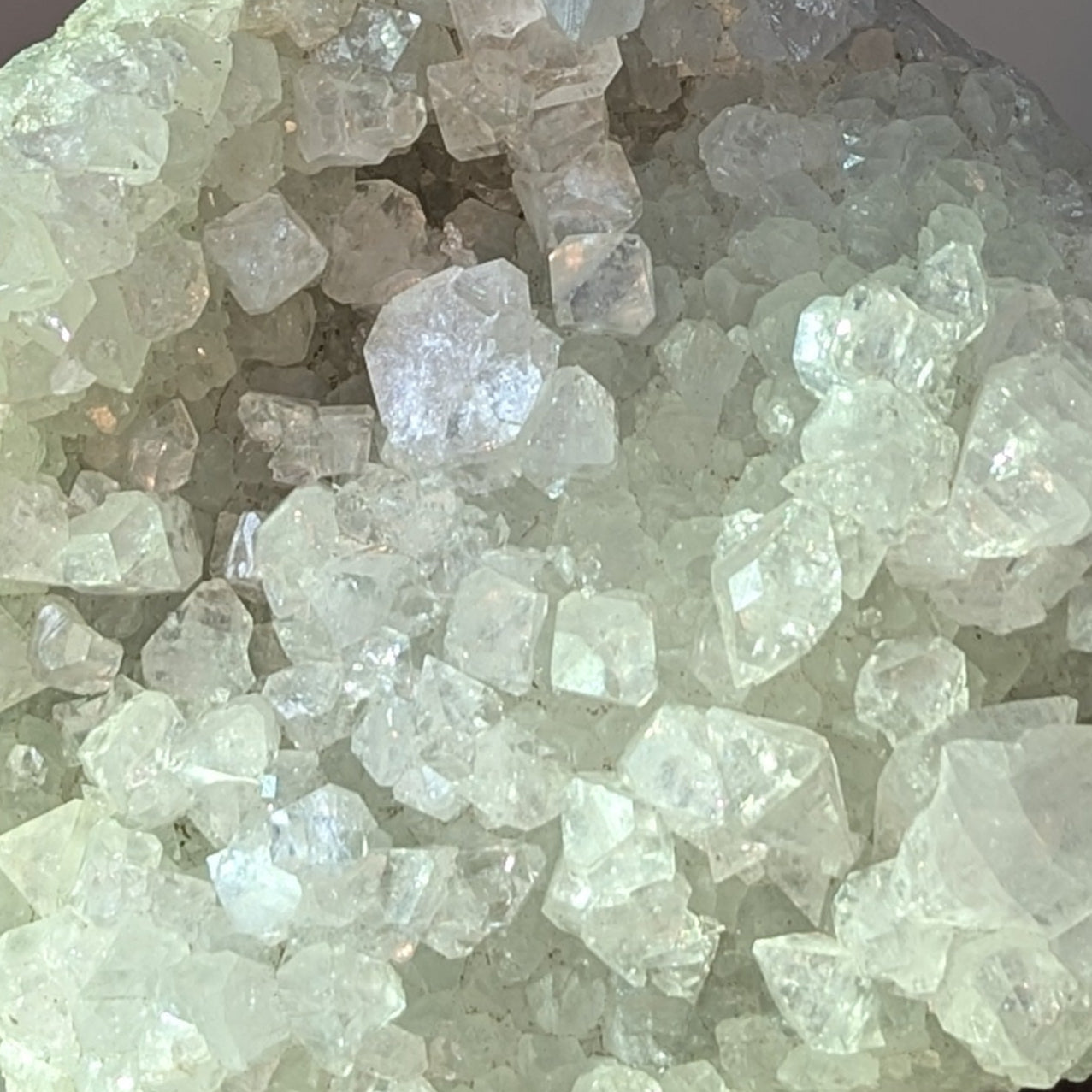 Apophyllite Clusters (Option #1)