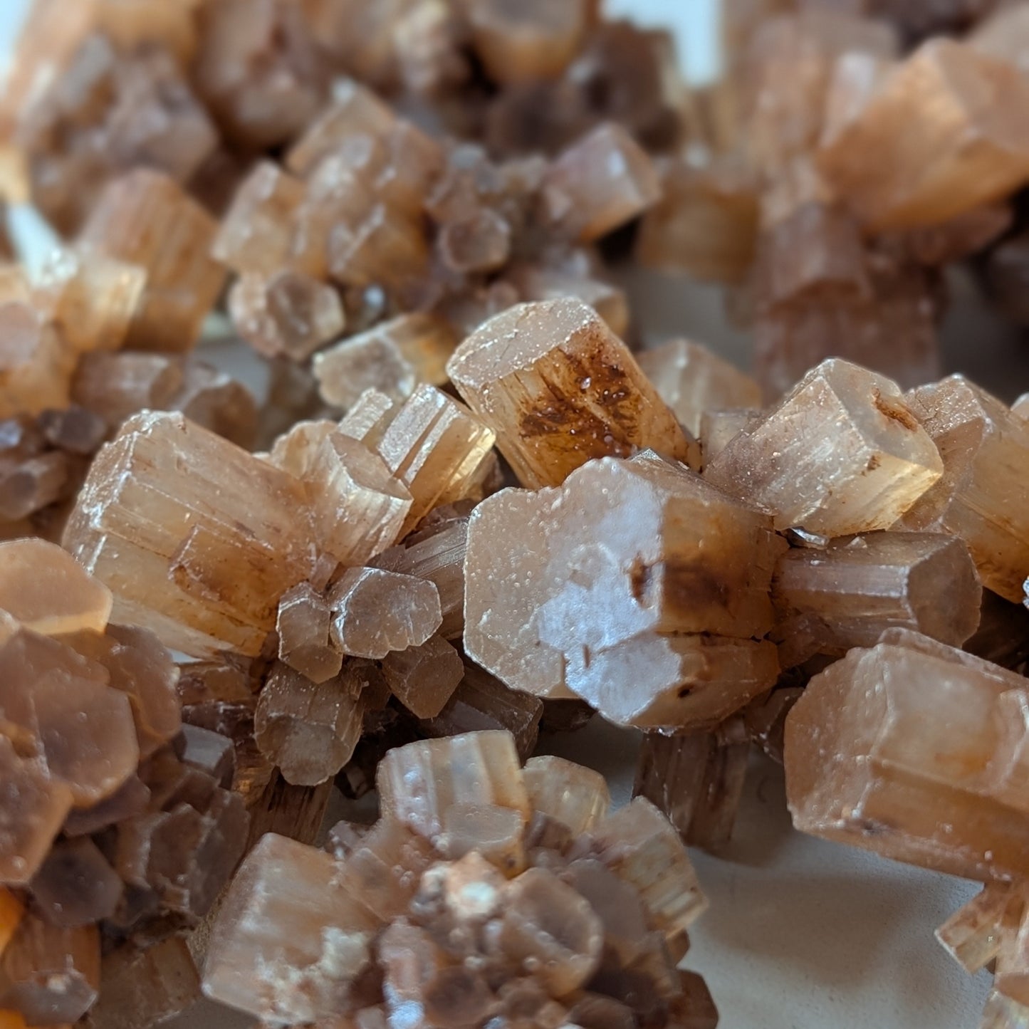 Rough Brown Aragonite