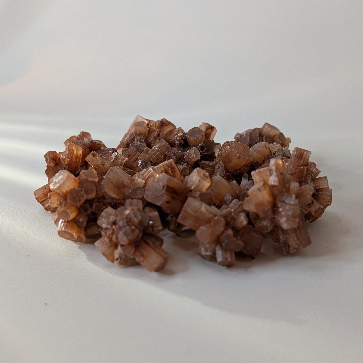 Rough Brown Aragonite