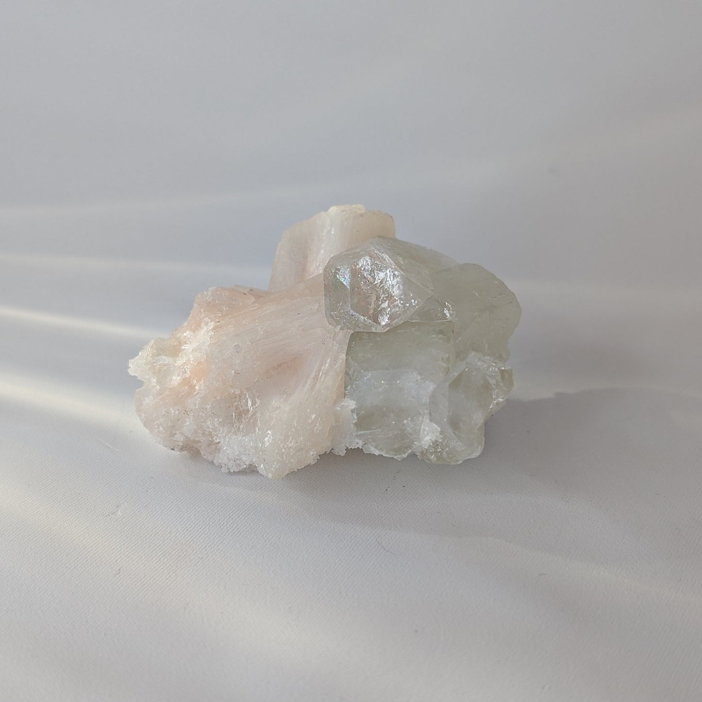 Apophyllite Specimen (Option #6)