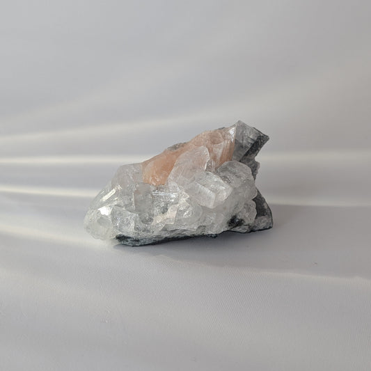 Apophyllite Specimen (Option #8)