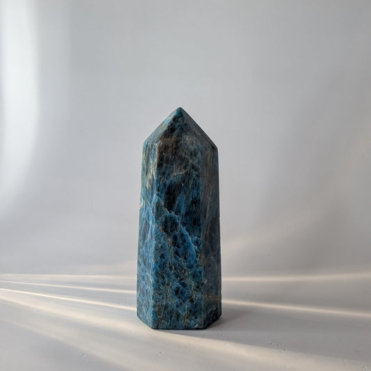 Apatite Polished Point