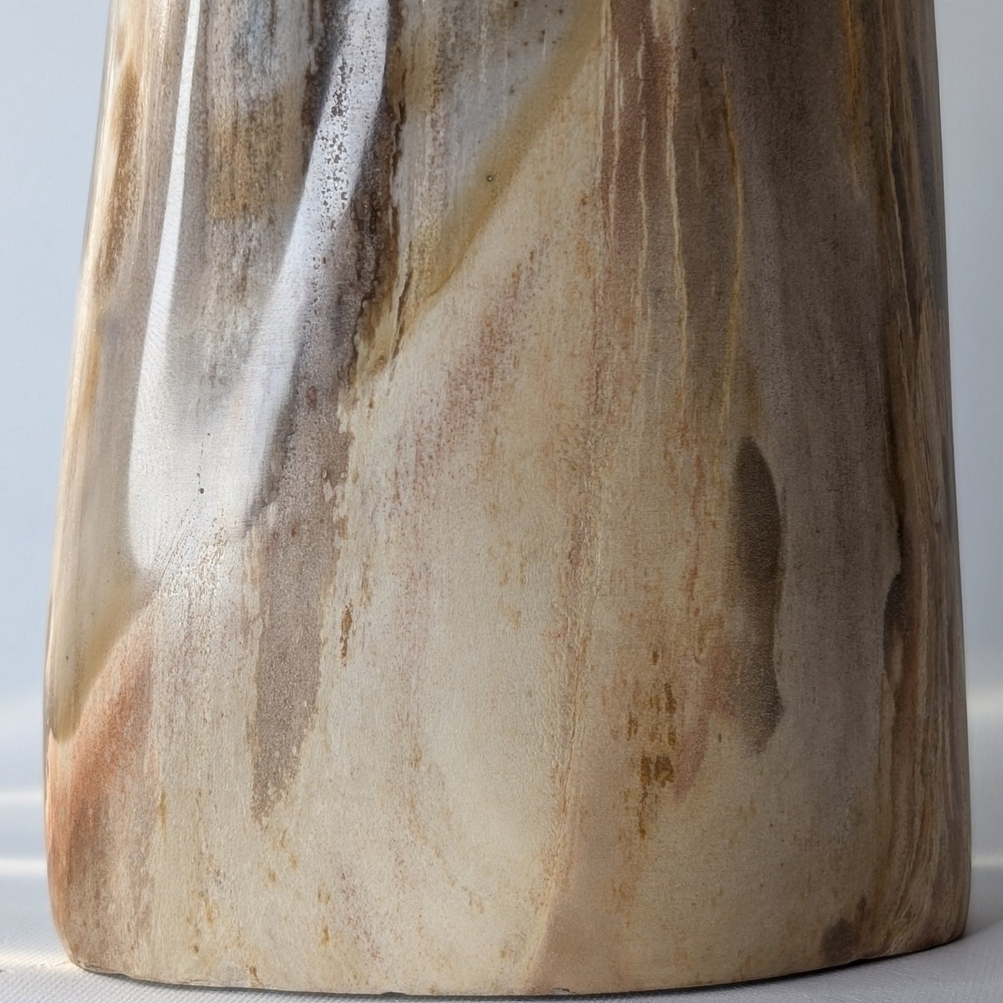 Petrified Wood