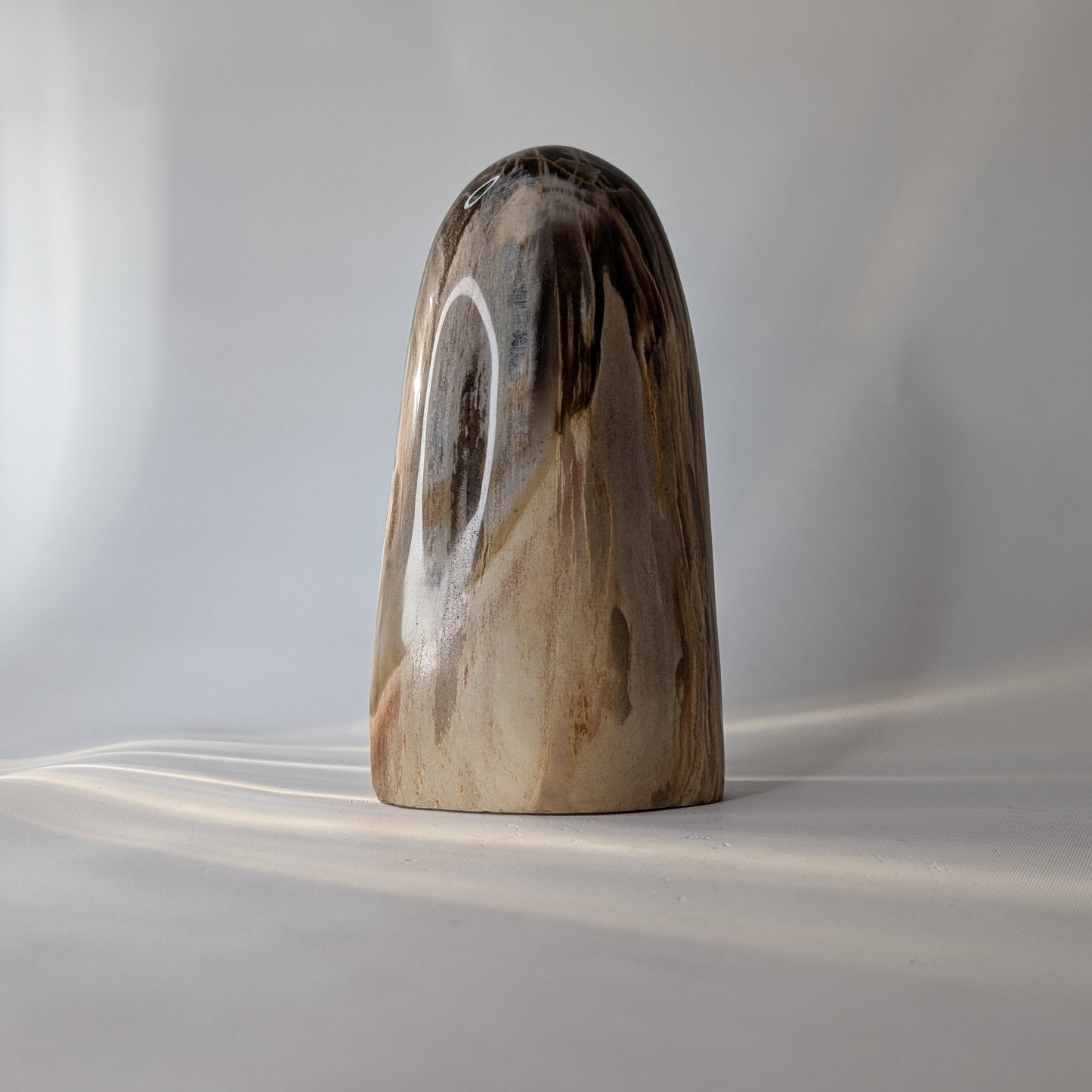 Petrified Wood