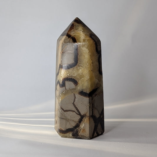 Septarian Polished Point (Option #1)