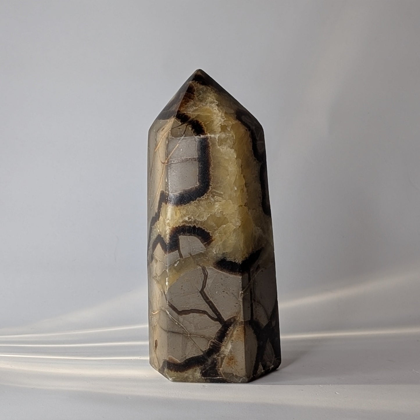 Septarian Polished Point (Option #1)