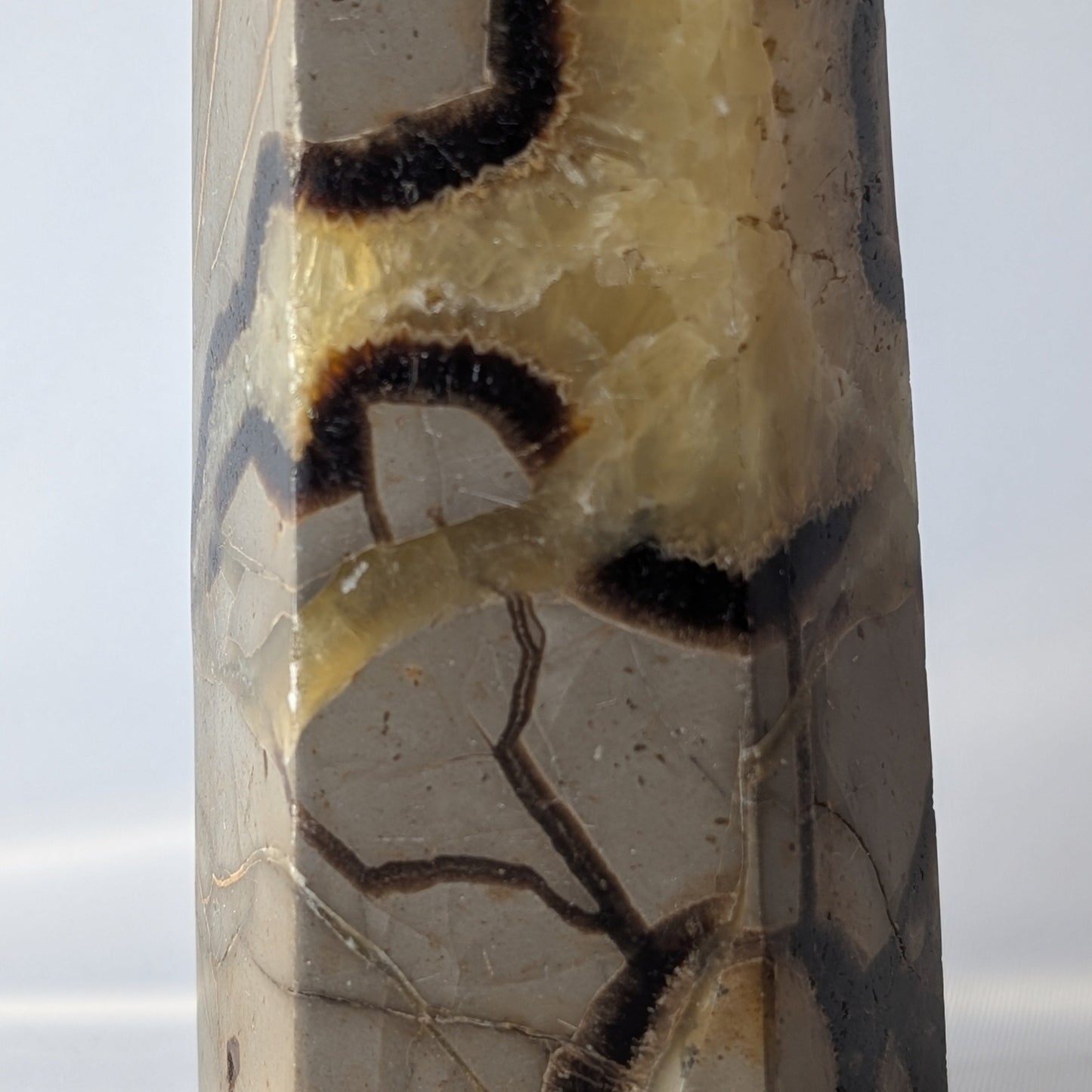 Septarian Polished Point (Option #1)