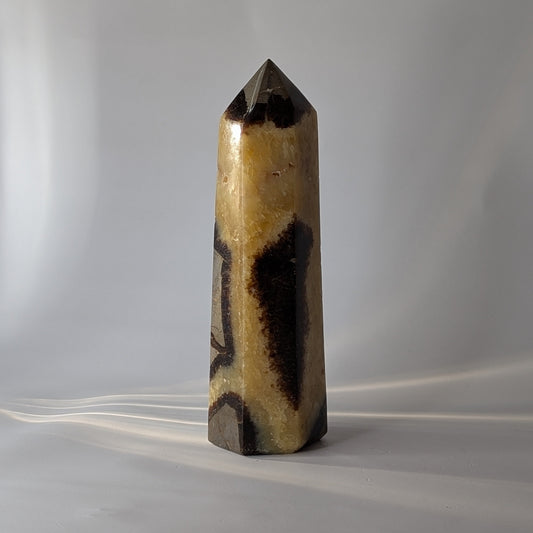 Septarian Polished Point (Option #2)
