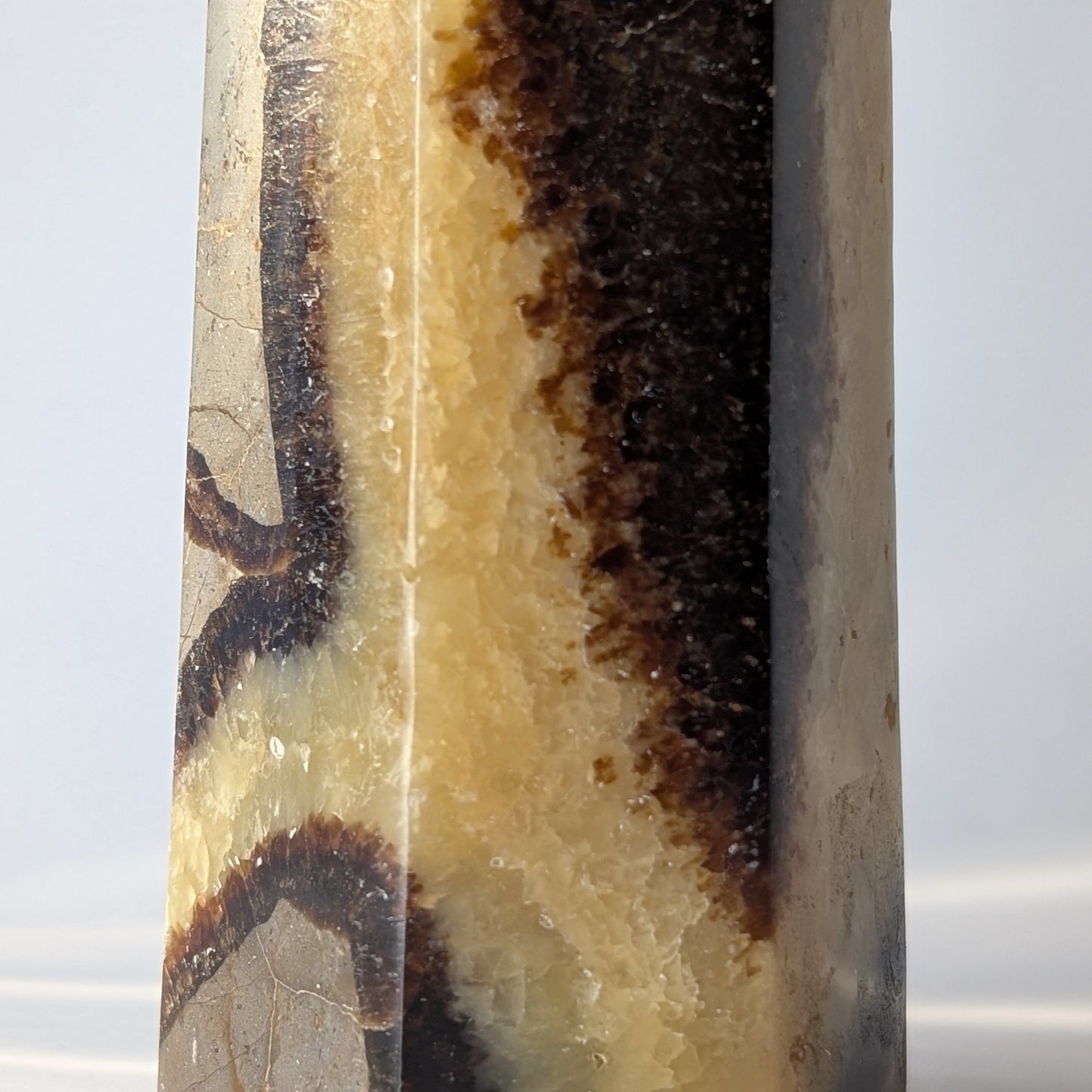 Septarian Polished Point (Option #2)