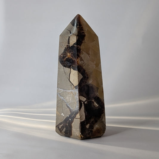 Septarian Polished Point (Option #3)