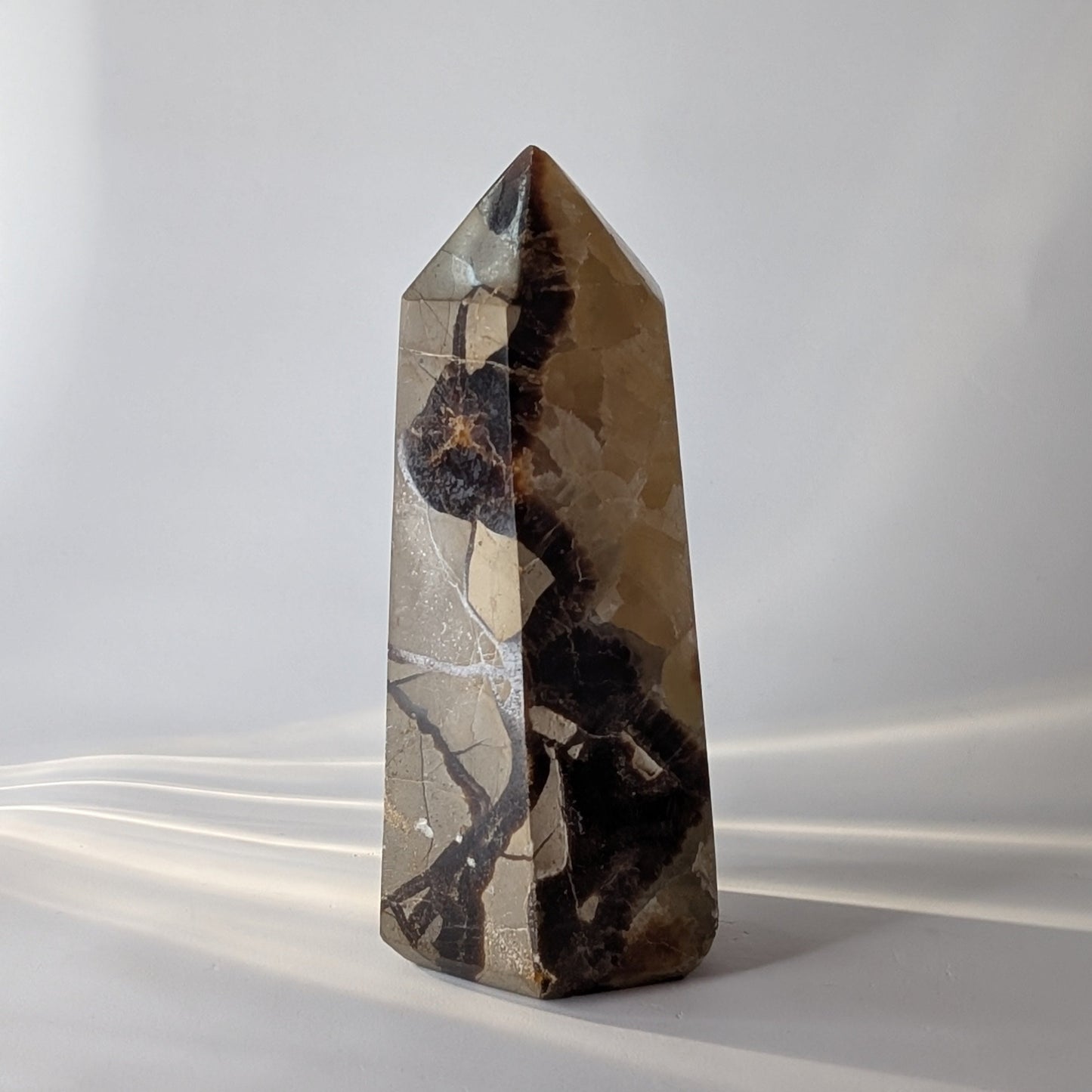 Septarian Polished Point (Option #3)
