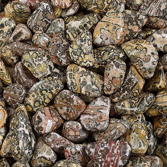 Leopard Skin Jasper Tumbled Stone